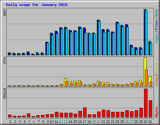 Daily usage for January 2019