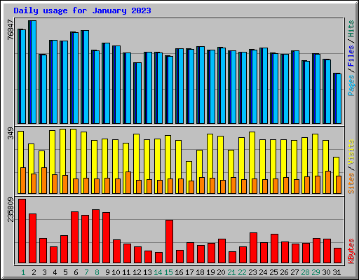 Daily usage for January 2023