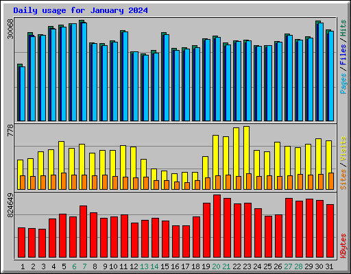 Daily usage for January 2024