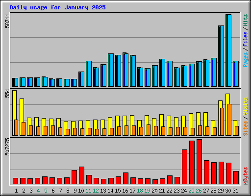 Daily usage for January 2025