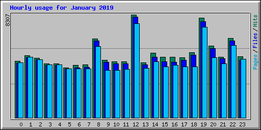 Hourly usage for January 2019