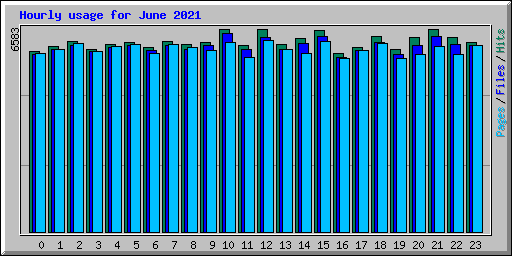 Hourly usage for June 2021