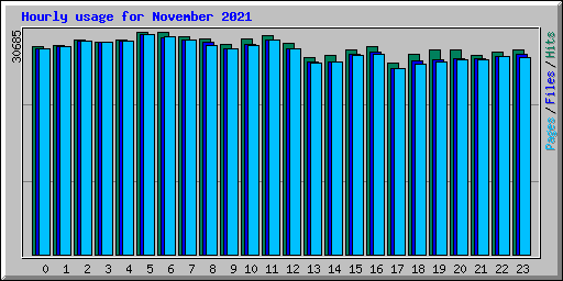 Hourly usage for November 2021