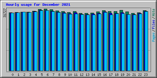 Hourly usage for December 2021