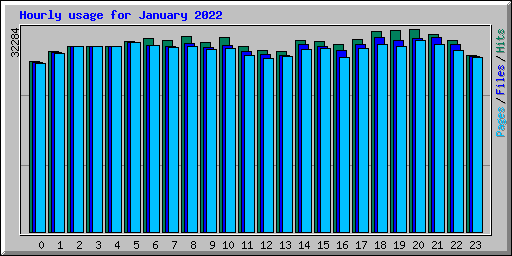 Hourly usage for January 2022