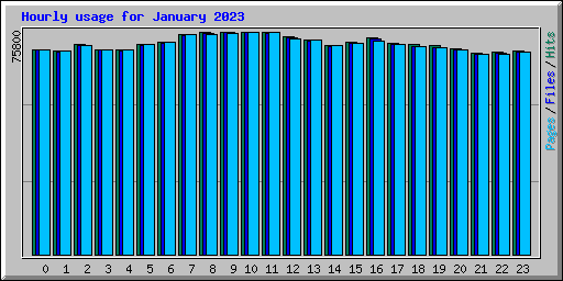 Hourly usage for January 2023