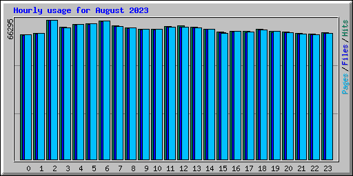 Hourly usage for August 2023