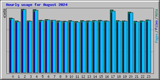 Hourly usage for August 2024