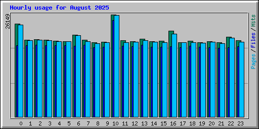 Hourly usage for August 2025