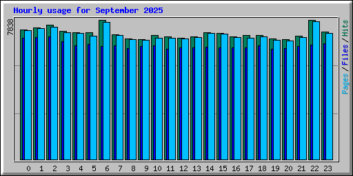Hourly usage for September 2025