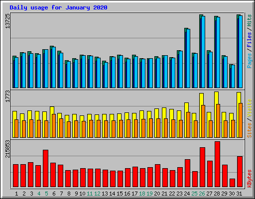 Daily usage for January 2020