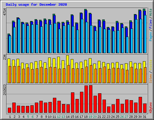 Daily usage for December 2020