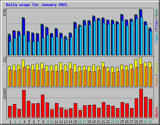 Daily usage for January 2021