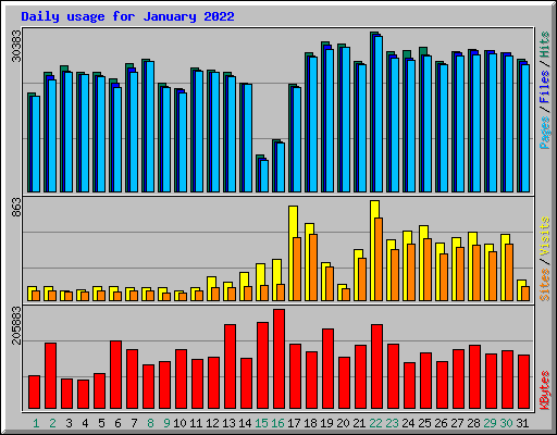 Daily usage for January 2022