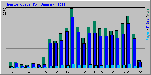 Hourly usage for January 2017