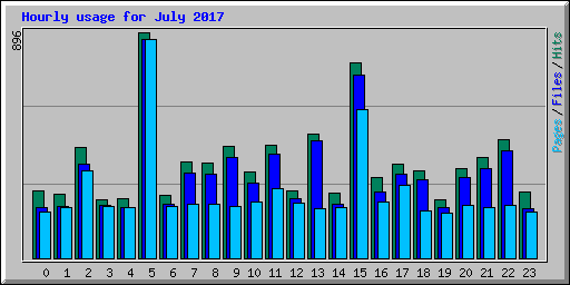 Hourly usage for July 2017