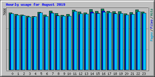 Hourly usage for August 2019