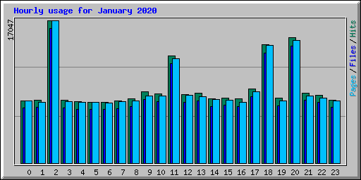 Hourly usage for January 2020