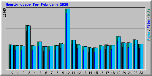 Hourly usage for February 2020