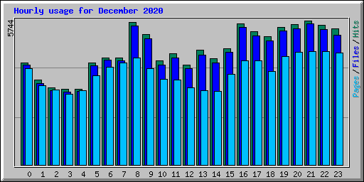 Hourly usage for December 2020