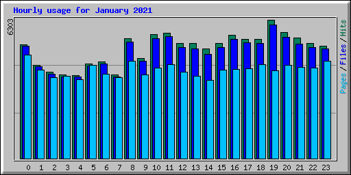 Hourly usage for January 2021