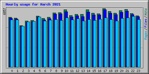 Hourly usage for March 2021