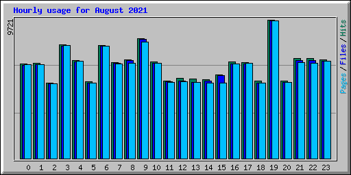 Hourly usage for August 2021