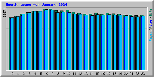 Hourly usage for January 2024