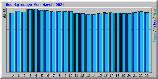 Hourly usage for March 2024