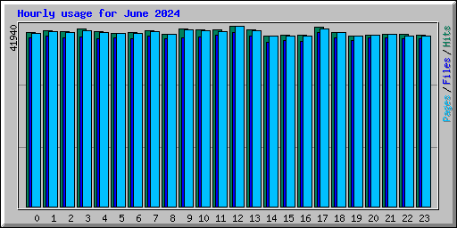 Hourly usage for June 2024