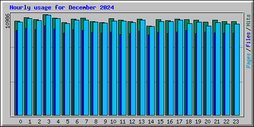 Hourly usage for December 2024