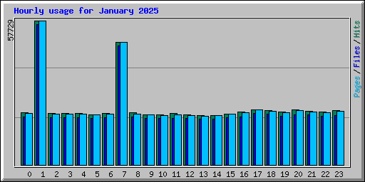 Hourly usage for January 2025