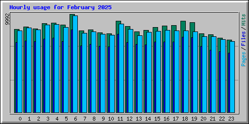 Hourly usage for February 2025