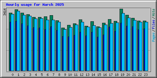 Hourly usage for March 2025