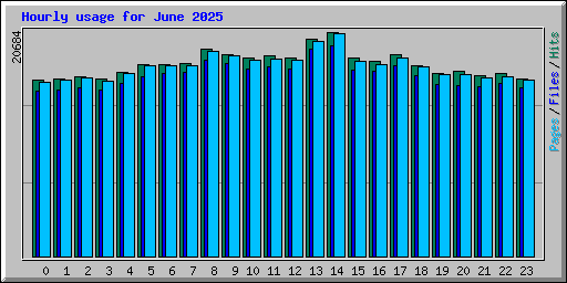 Hourly usage for June 2025