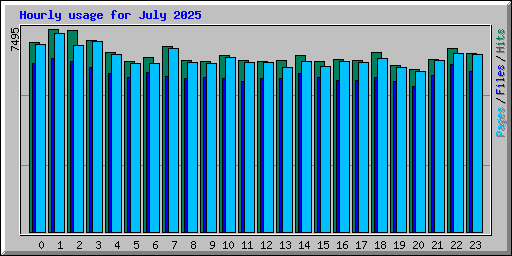 Hourly usage for July 2025